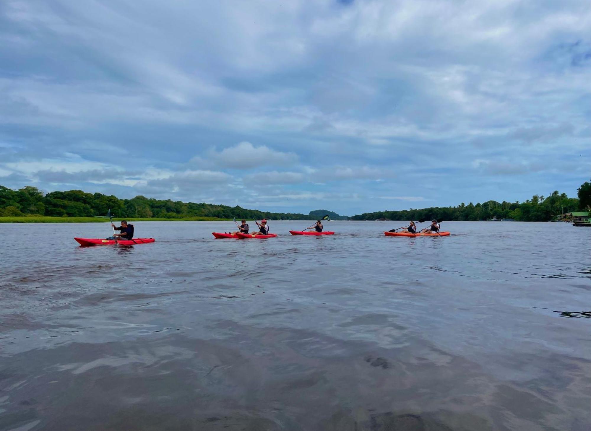 Carey Lodging Tortuguero Buitenkant foto