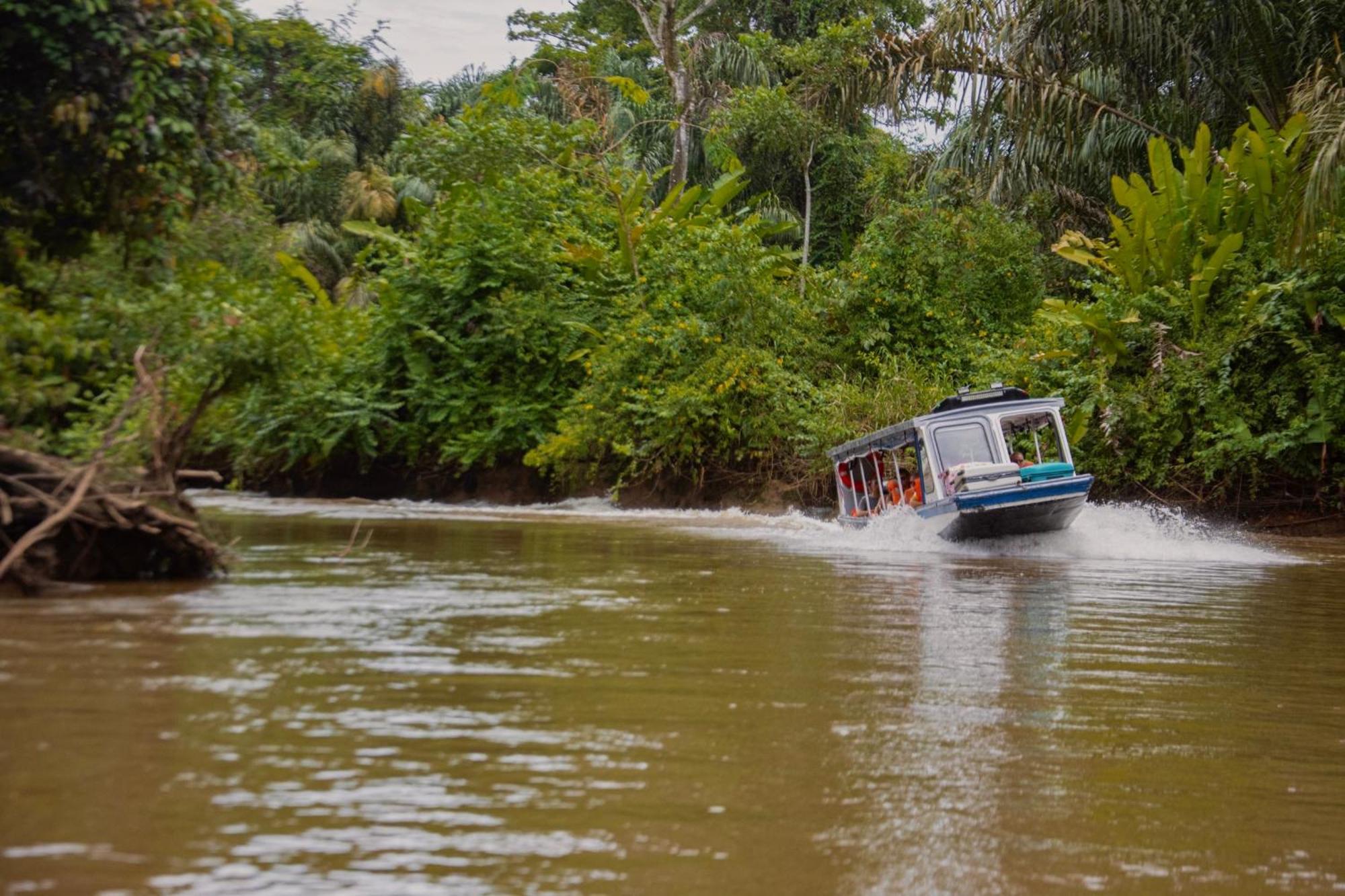 Carey Lodging Tortuguero Buitenkant foto