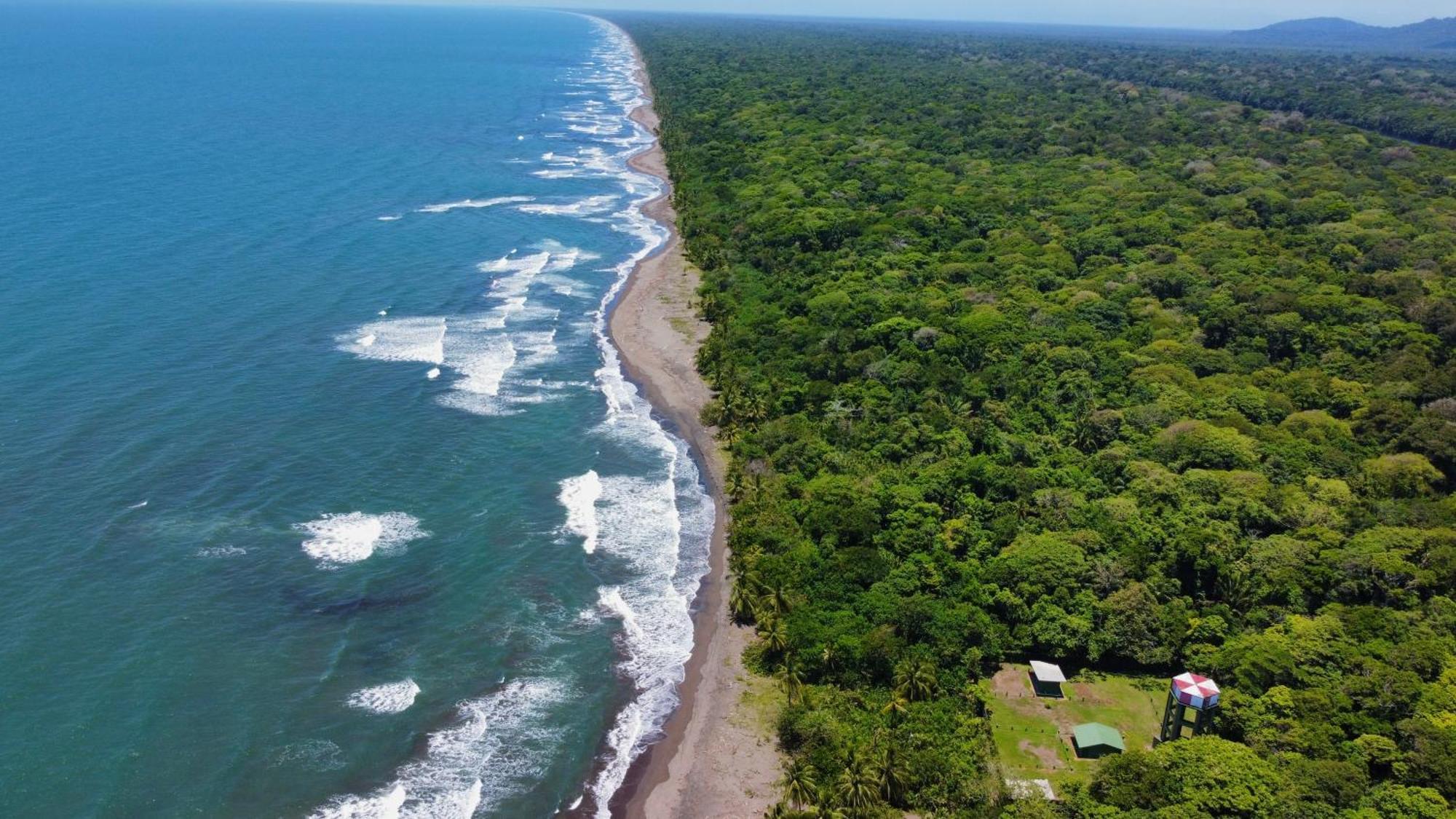 Carey Lodging Tortuguero Buitenkant foto