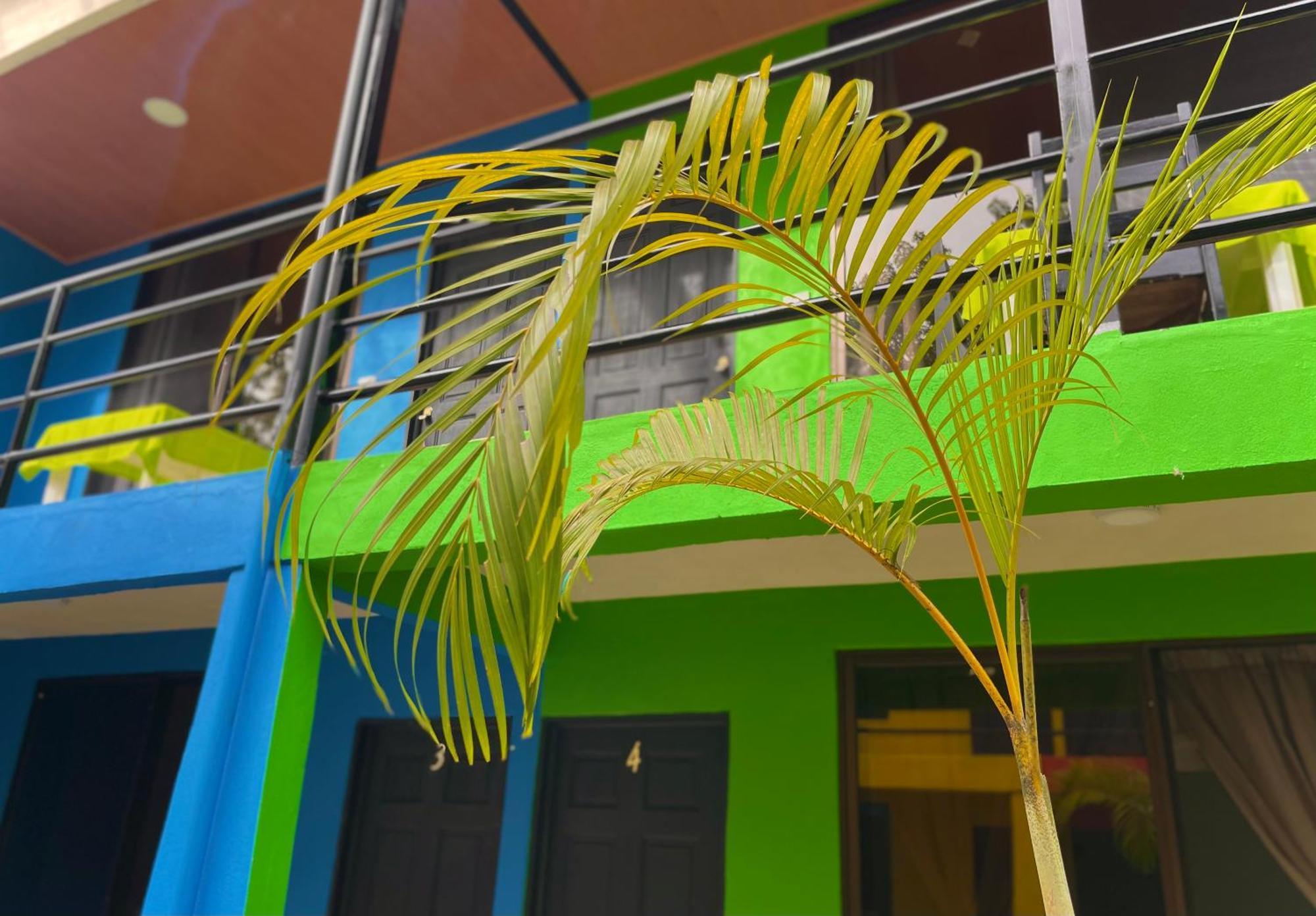 Carey Lodging Tortuguero Buitenkant foto