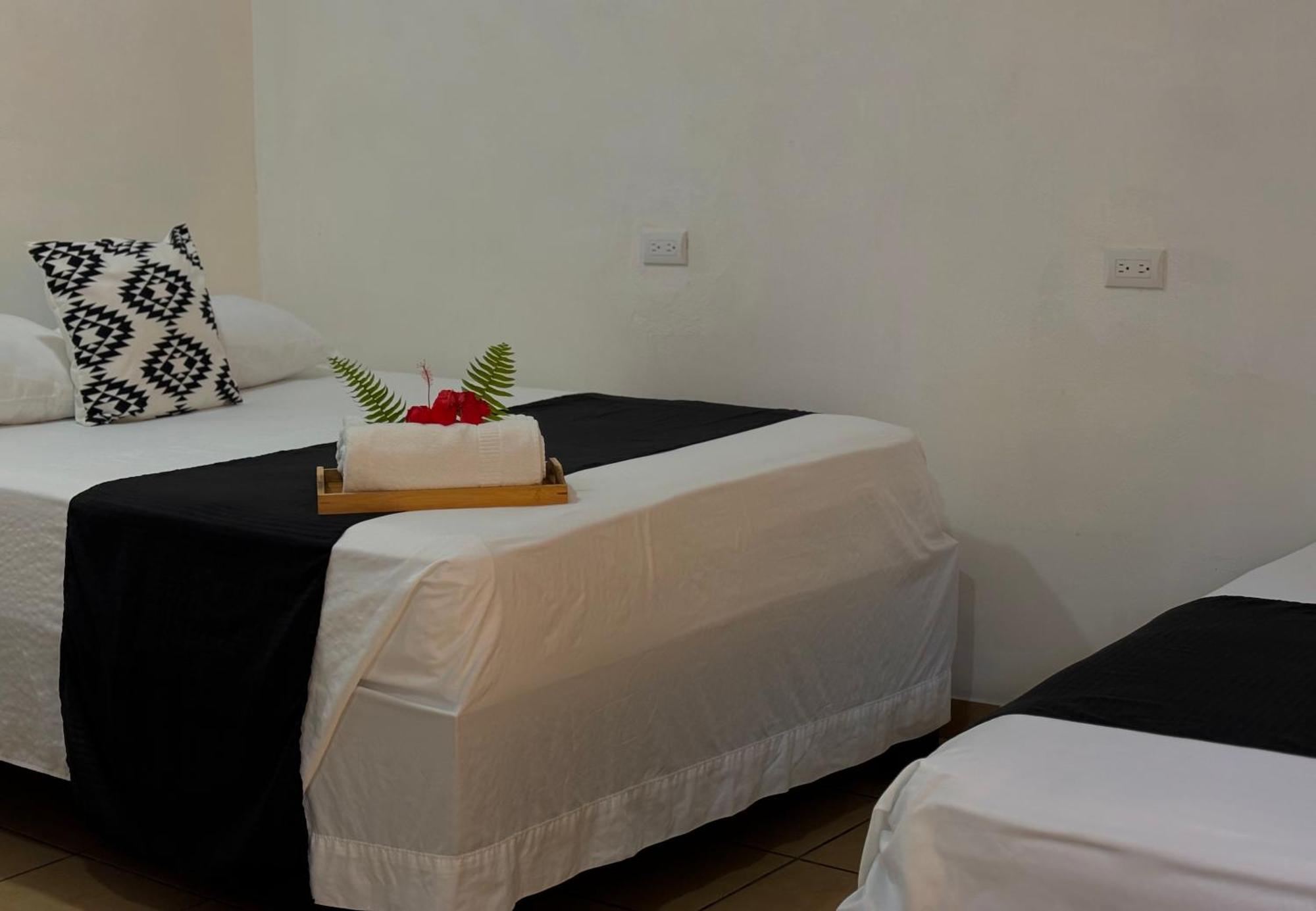 Carey Lodging Tortuguero Buitenkant foto